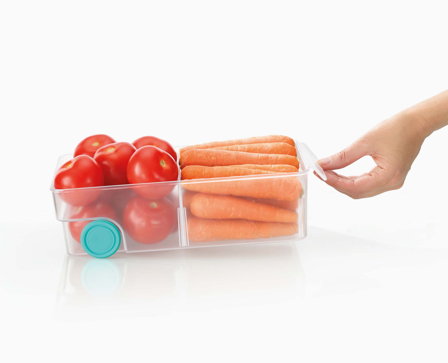 [half-width] FridgeStore™ Large Storage Bin - 851663 - Image 4